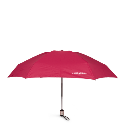 Parapluie - Accessoires Parapluies
