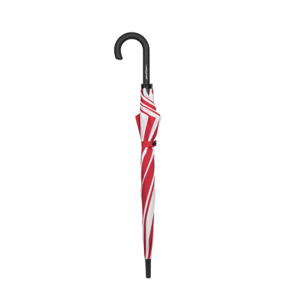 Parapluie - Accessoires Parapluies