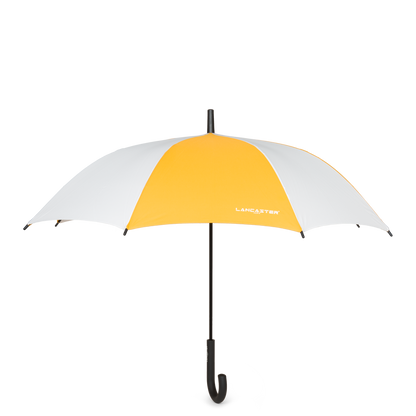 Parapluie - Accessoires Parapluies